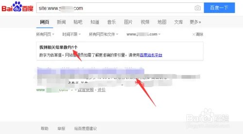 什么叫网站收录,怎么查收录