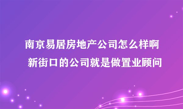 南京易居房地产公司怎么样啊 新街口的公司就是做置业顾问