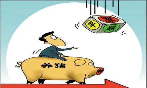 2018年生猪价格行情走势如何？