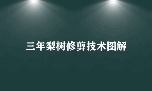 三年梨树修剪技术图解
