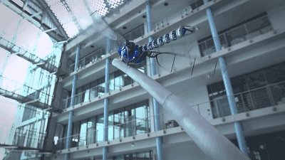 干掉人类的会是它们吗?2019全球最强9大超级仿生机械!