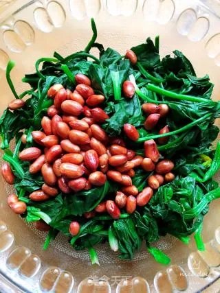 陈醋菠菜花生米