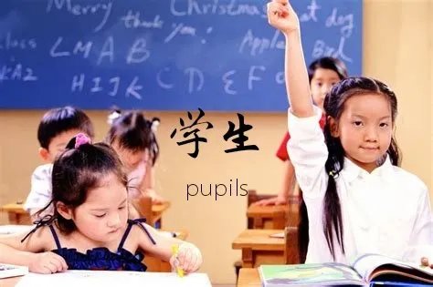 pupiLs用英语怎么读