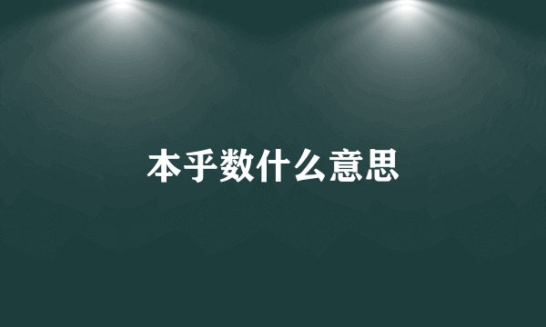 本乎数什么意思