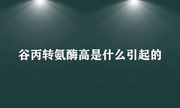 谷丙转氨酶高是什么引起的
