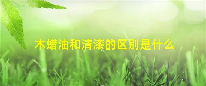 木蜡油和清漆的区别是什么