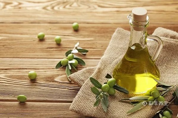 橄榄油的功效与作用及食用方法