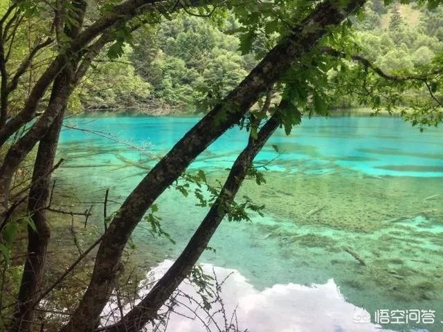 九寨和黄龙有必要同时去吗？你更推荐哪里？