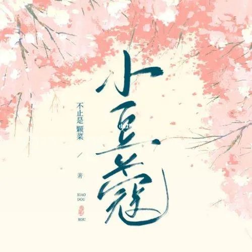 小豆蔻_by不止是颗菜_txt全文免费阅读