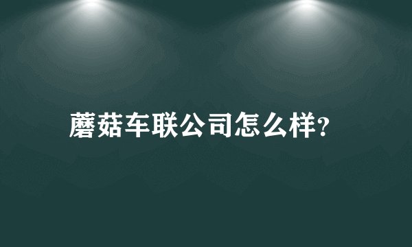 蘑菇车联公司怎么样？