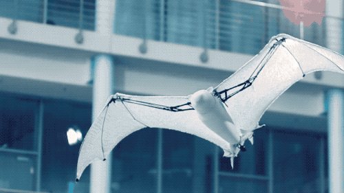 干掉人类的会是它们吗?2019全球最强9大超级仿生机械!