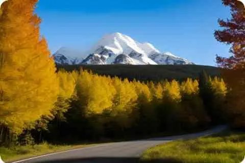 阿訇是什么意思