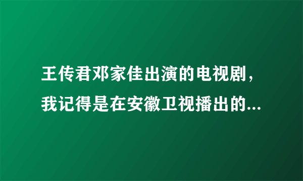 王传君邓家佳出演的电视剧，我记得是在安徽卫视播出的、叫什么名字?