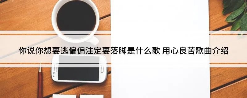 你说你想要逃偏偏注定要落脚是什么歌 用心良苦歌曲介绍