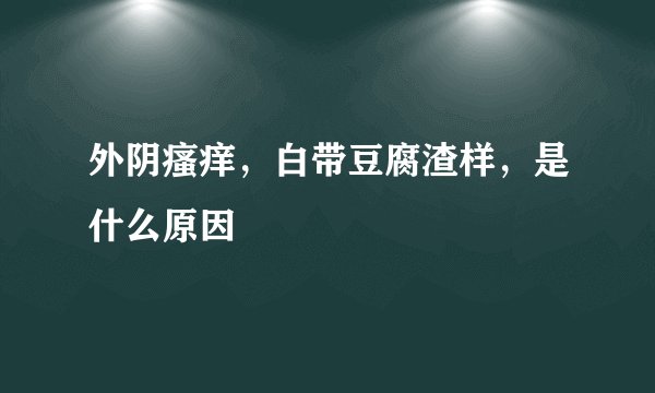 外阴瘙痒，白带豆腐渣样，是什么原因