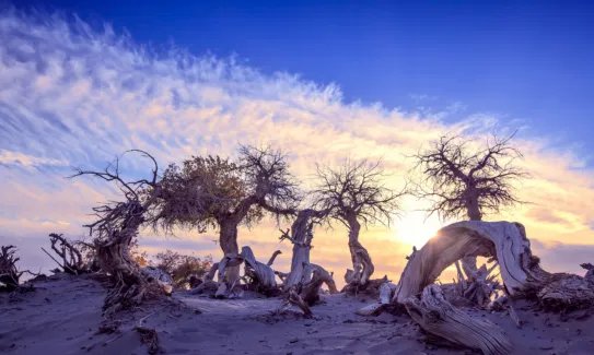 女人梦到死人是什么意思 女人梦到死人好不好