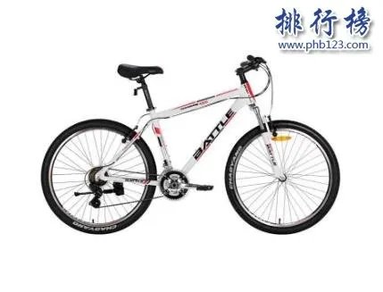 山地自行车十大品牌排行榜:凤凰、永安上榜 第4美国品牌