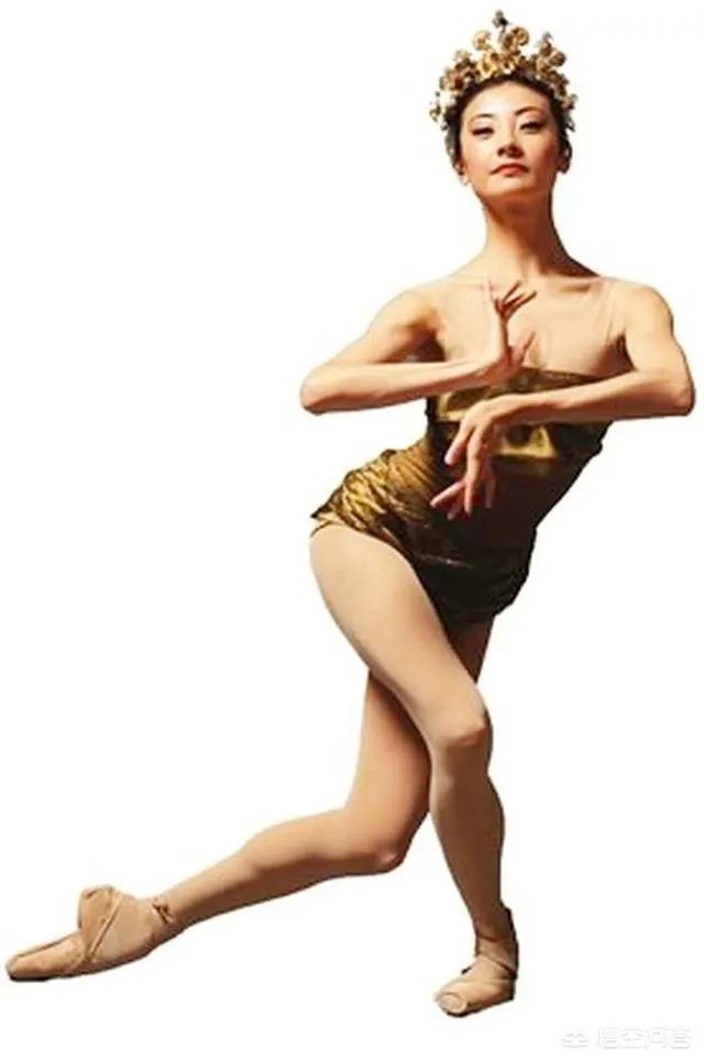 谭元元和侯宏澜谁厉害？