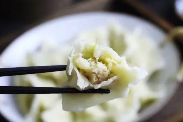 猪肉白菜饺子用什么白菜