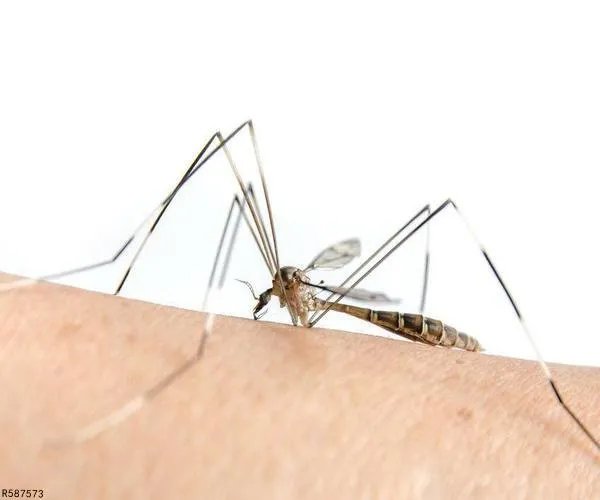 蚊香液婴儿能用吗