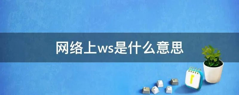 网络上ws是什么意思