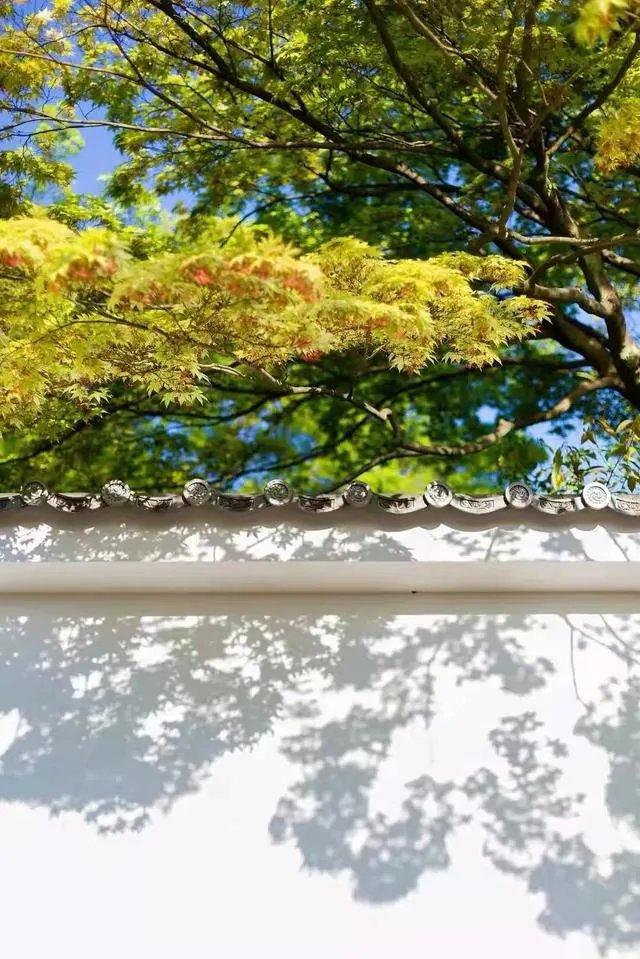 今日立秋，农村老人常说的“啃秋”是什么意思？