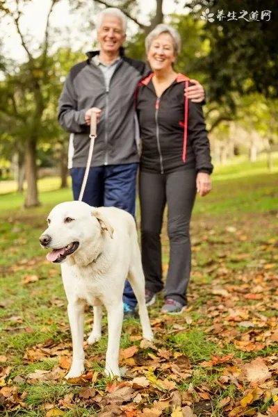 如何选购功能型户外运动内衣