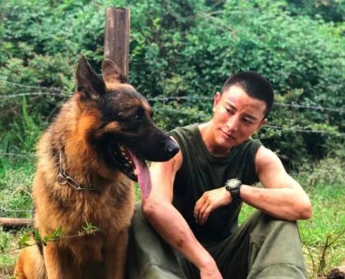 贾乃亮综艺复出后爱火再燃，疑似走出情伤？