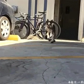 庞麦郎是否真的有音乐天份?会不会他的作品是非常超前的?