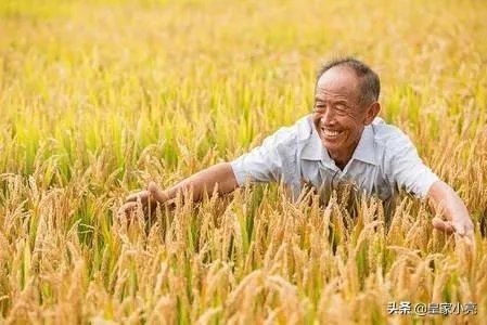 今日立秋，农村老人常说的“啃秋”是什么意思？