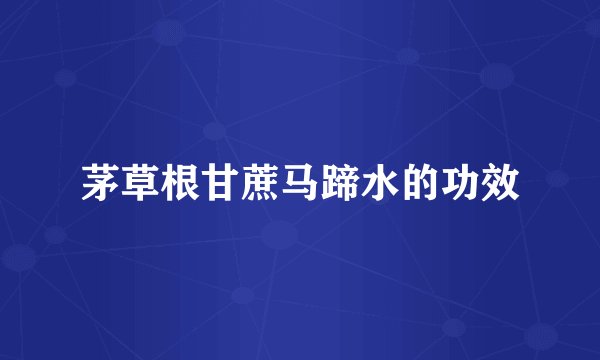 茅草根甘蔗马蹄水的功效