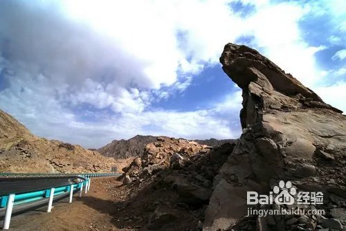 武汉胜天农庄游记攻略