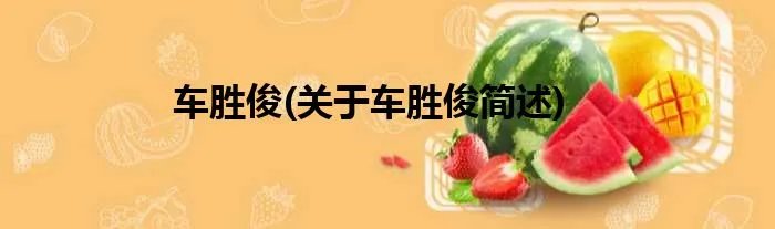 车胜俊(关于车胜俊简述)