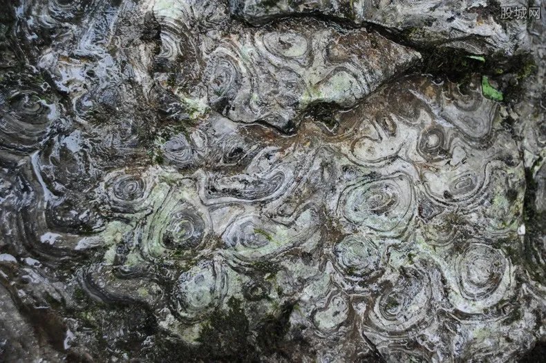 钟乳石多少钱一斤 钟乳石收藏价值为什么这么高？