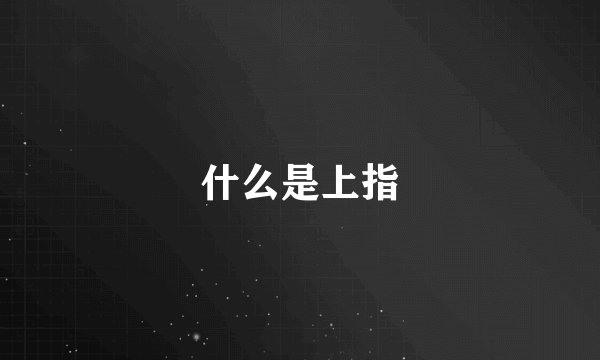 什么是上指