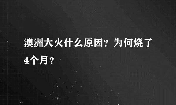 澳洲大火什么原因？为何烧了4个月？