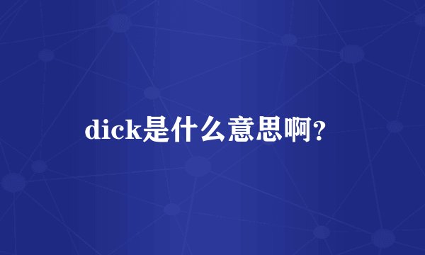 dick是什么意思啊？