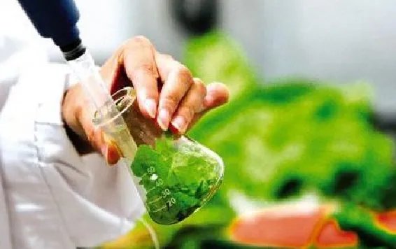 食品工程和食品科学这两个专业有什么区别