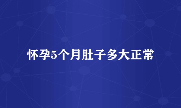 怀孕5个月肚子多大正常
