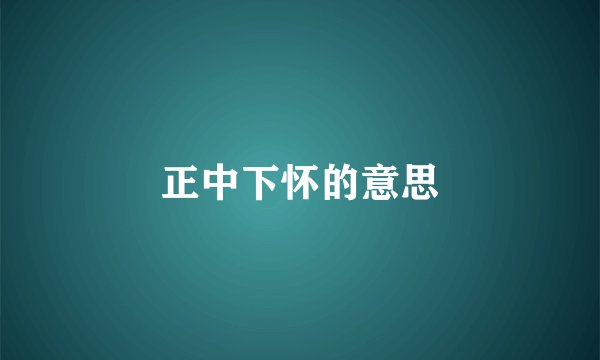 正中下怀的意思