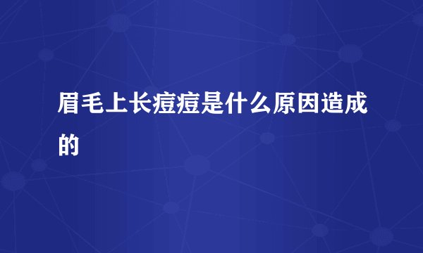 眉毛上长痘痘是什么原因造成的