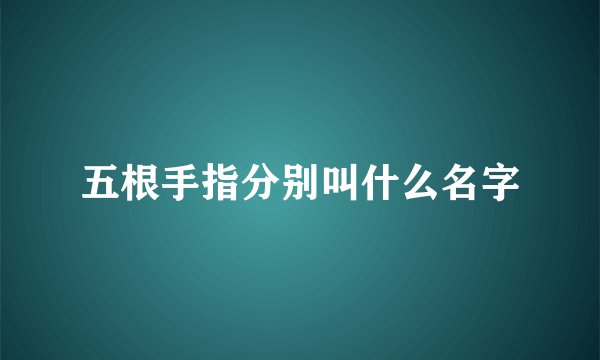 五根手指分别叫什么名字