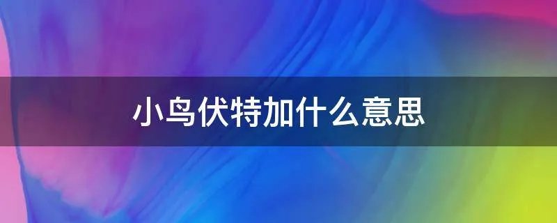 小鸟伏特加什么意思