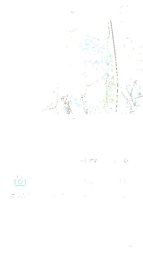 4.85毫米最薄拍照手机 OPPO R5拍照评测