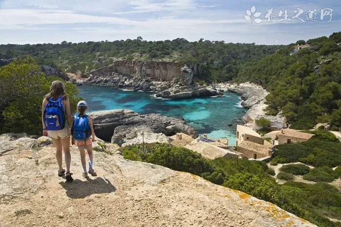 德牧趴蹄什么原因