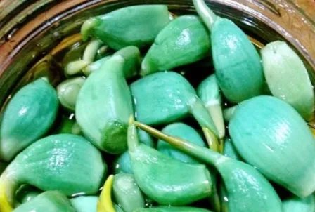 正宗腊八蒜的腌制方法