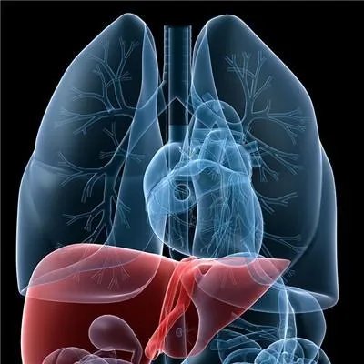 甲肝减毒活疫苗可以补打吗