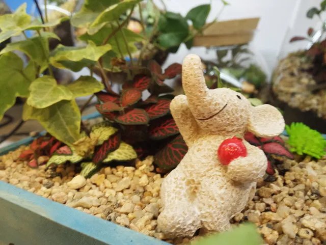 整体变化不大 自拍神器美图M4全面评测