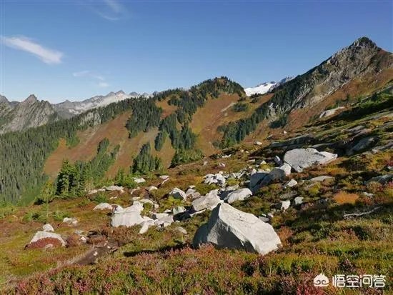 如何评价松下的LX100?