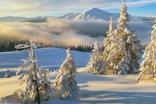 冬至阳生春又来全诗